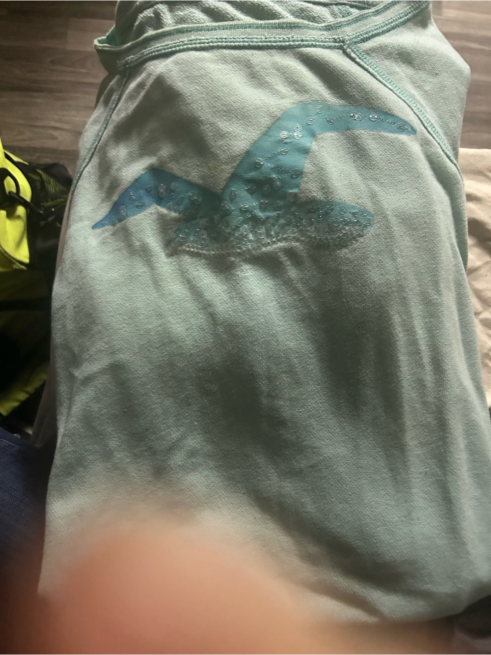 Hollister Light Aqua/Teal Logo Sweatshirt